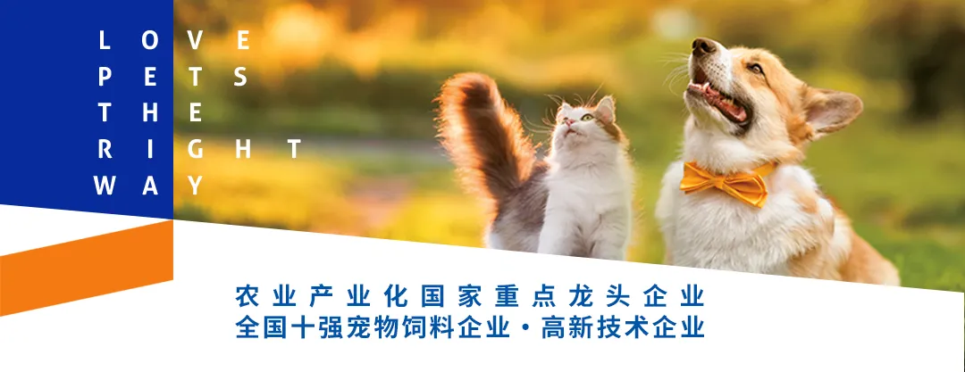 QY千亿国际